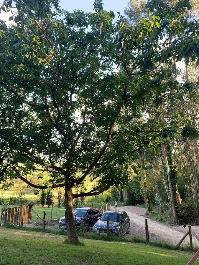 Apartamentos Rurales Las Garzas De Oyambre San Vicente De La Barquera Buitenkant foto